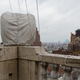 Image for article titled Inside the Hidden NYC Clocktower Gallery's Grand Finale